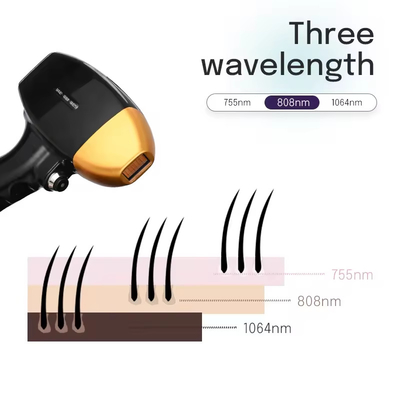 Custom Epilator Painless Hair Removal Permanent 808nm Diode Laser Hair Removal System Body Hair Removal